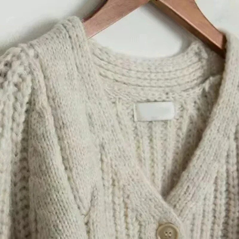 Twisted Sweater Women's Spring and Autumn Knitted Cardigan Jacket